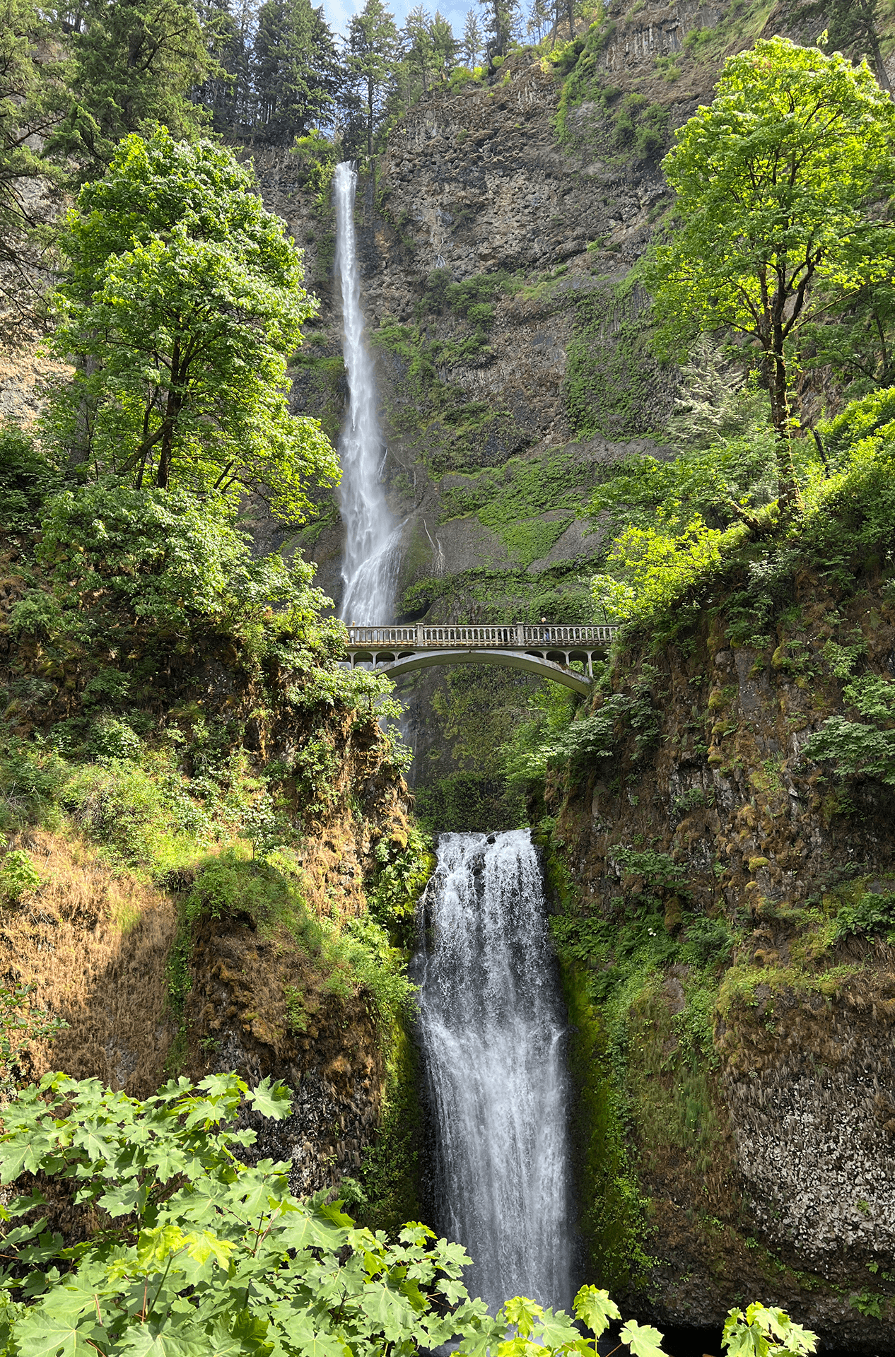 The falls